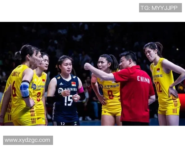 重庆排球队实力分析与发展前景探讨全面解读